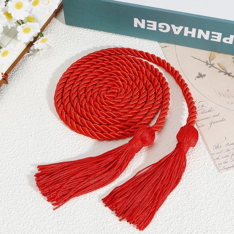 Leislam 20 Pcs Graduation Cords, Red Cords, Graduation Honor Cords, 2025 Graduation Tassel Honor Cords, 67" Long Braided Cords for 2025 Graduation Decorations Bachelor Gown for Student Master Doctoral - Image 3